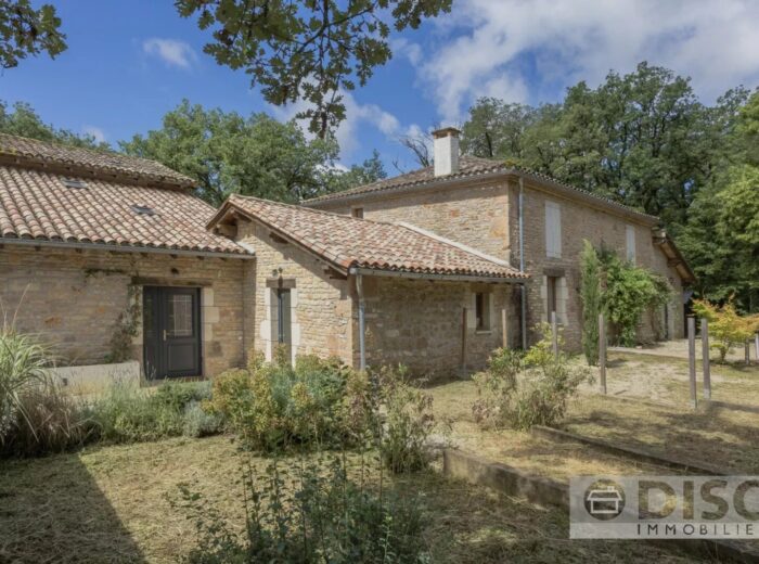 Grande propriété rénovée avec spacieuse maison principale, gîte… – Domaine et propriété à Saint-Antonin-Noble-Val