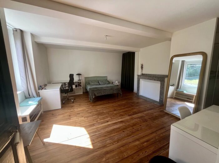 Belle maison de caractère rénovée, 4 chambres, dépendances, 1,7ha de… – Maison de caractère à Maubourguet