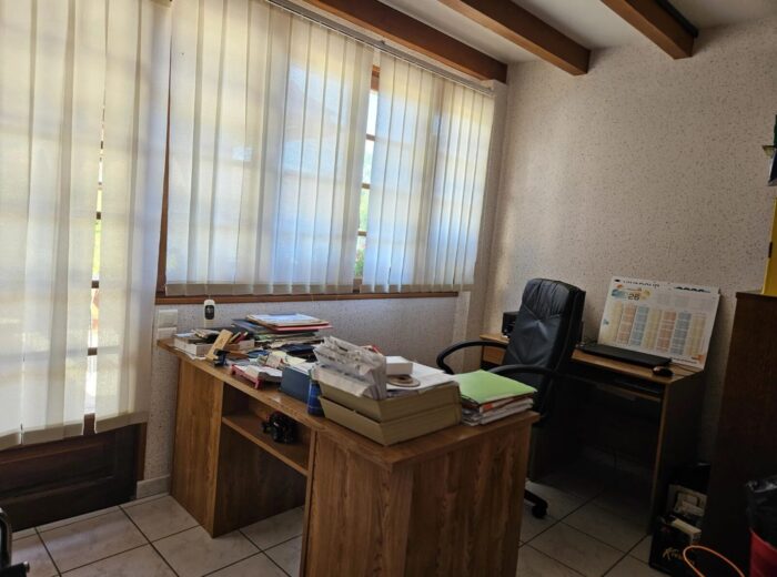 Ferme moderne avec une seconde maison à rénover – Maison à rénover à Viella