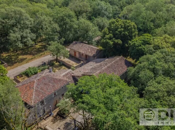 Grande propriété rénovée avec spacieuse maison principale, gîte… – Domaine et propriété à Saint-Antonin-Noble-Val