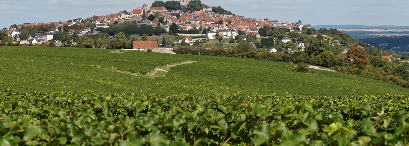 Sancerre